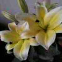 0ad4c9ba8727951fc1d9f9c52ee76001751bc9ba