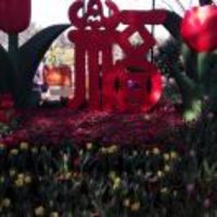 47a09a0e1381499a85cdf8cea9870de427ce2f0d