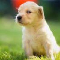 5324c003184f34b04c0b1b5e5d440bad7d8e0dc7