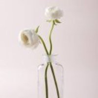 1859697c353b2e4503cab48f33f72ab11b794770