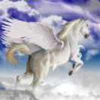 B2c78ad43f9b84d56382cebccd0cc4256c4dbbbb