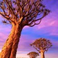 23254a99b618b36ebc0a56ef711bc13810edab13