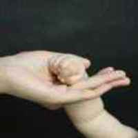 0feacc45f9ee0cd45083011646896d636f2b50f9