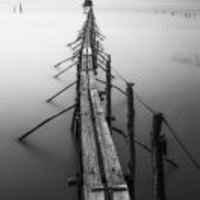 E3eba8ac7a9d655195ccf3340729c38606db8e49