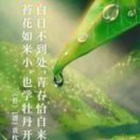 7427d8ffb49b01431062222923f50336e7e5e100