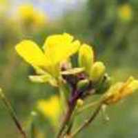 C685f77ba57a01e70f076a983dbe21475f239008