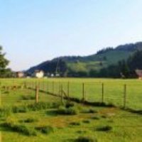 E46ef251ae44910b5a9f41e31d69e26c91bab05c