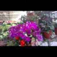 E53a37c3e30448bd20b89dd703f06efc87575cd4