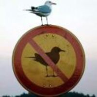 0937f5720680b5d6c9de093f1e9e21e878aa2007