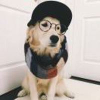 65b363f5b1ed73dd2699c441b819e1cd38ba13d7