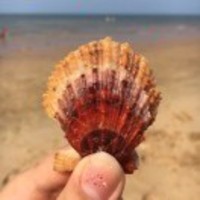 778d61e2e60e54f12b13d7b234a858f1270d5cf1