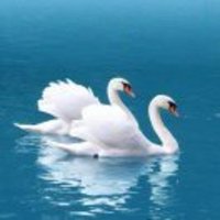 F801547433314de4cdea056a554f8167a091e562