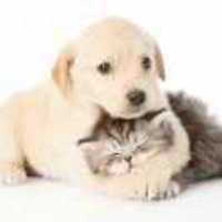 01b889e9a18952e592ea464557b196ff58a35b23