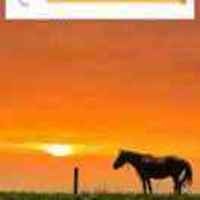 A0a61c8bad167dea2b0e6e501aef58e201ab1b24