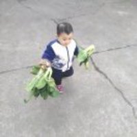 33cc7cb7f699fe1deb456c385e5210d21da6f3c3