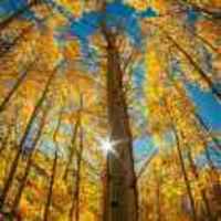 685f5ca6219411d096dce117cda543110c82e292