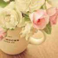 886e5e1232beb2a29d06be7131bba51f4df29fdc