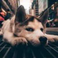 3ef83d0f7fa808ae9fad70e7b6fa4c2223cab43a