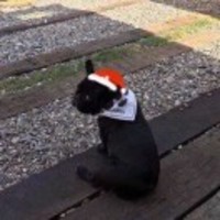 C7f56d4f10dc382cff81500aeadafa5f54912e2a