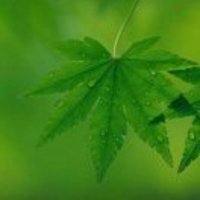 969600837a0c3739292a07b8c464f928c3d84f5c