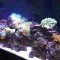 88ca82949e3b1c033b5090882a23f44b77c9fe91