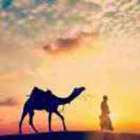 C4d958316d1869678ff8382112fbeef402865703