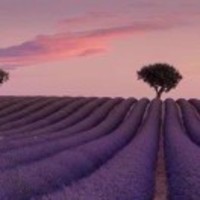 46753a7943c881db212c8497a480d96104e0341d