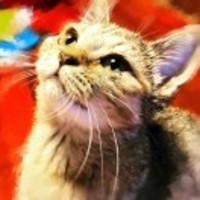 6c56ab9388bf9a82eef75faec22f2b71ba5b6192