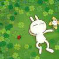 D32a72c30da275031745f5557a5c21f92b534383