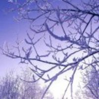 29074ffde0d55b5e9e83b16af214a13a7698f365