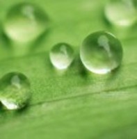 B5f5c943029fca0ea719bffc3773e77141610b4f