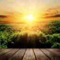 814aac88fe3983e37527fe1b97a8d8e116644714