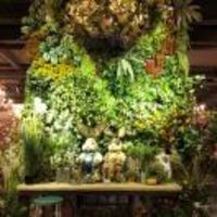 C338a787f2e4be2175ea3fb285b5a1a87bf40146