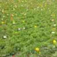 Fba8b3be7d01ef3077eb9c41077717bbd279044f