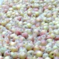 87fcc8300730abb93fb049111c6008f43e199665