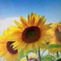 109c431fffa38d2432b3ce6d446b1ee14ff62cc1