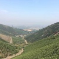 89b38c7e152615c90172af91afc340d6901c1e69