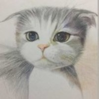 2c062bd6cb02d89f72e3d11242d7b868729f8dba