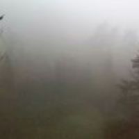 C83e9ed16f13f0211708643422e1cb68f37cf0db