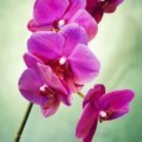 1fa180189b38b9c3bb3574bde2aceb435815b7cf