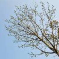 31c46b04964fb16d553270c71d316f8f5a457a22