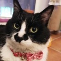 88f250f4f7dbf1917ee94e3c2cec4c42fe45116d