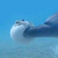 8e373e501015cd9cdca7ac4704d27d6b772cad47