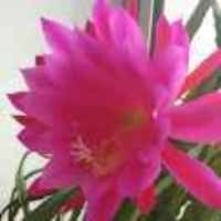 Ac00dac01373d14fa583d7cc40f4dc84050cfdd8