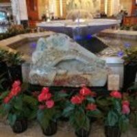 6f620043cbd05d8accfed4b826e599aafa5ff07f