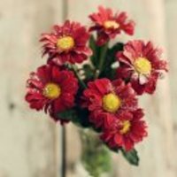 7596d57a7ea1ef98997d0d9f4c1ee89a609aaf2f