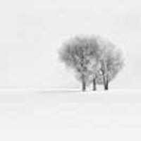 A4ab6437d8e1879d998de20b8c88041dce93709e