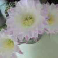 4beba7eeb58cbb266eb0baf5eae1ed9162868f6e