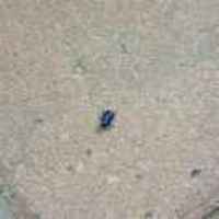 785fc8118235156d84a99160141b46e1e4a7844d