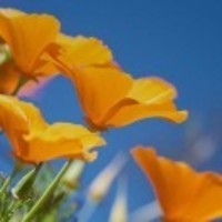 441d3a4341b72314728f10ee8646fce84c1279e0